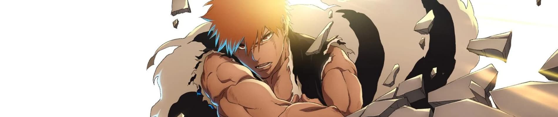 banner anime